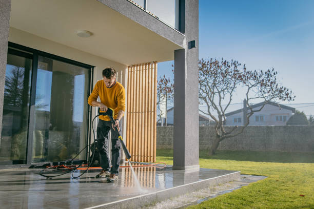 Trusted Chapin, SC Pressure Washing Services Experts